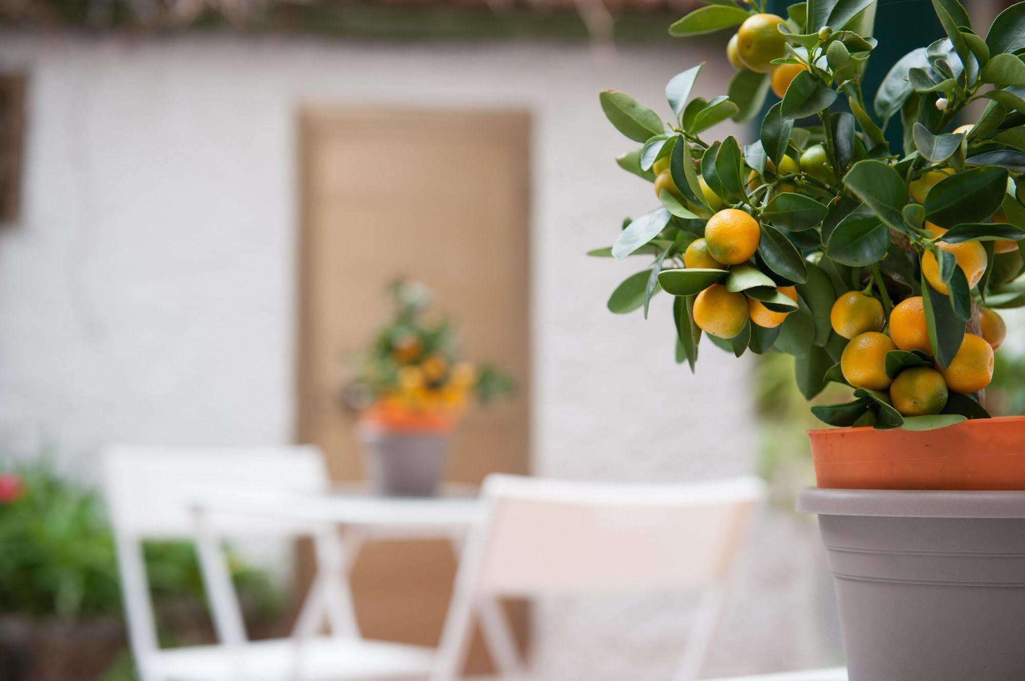פירנצה Piccarda Bed And Breakfast מראה חיצוני תמונה